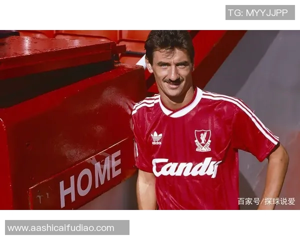 威尔士足球明星有哪些代表性球员及其成就分析