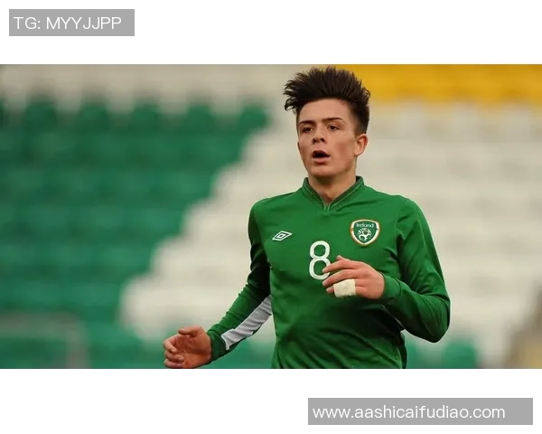 爱尔兰足球现役球员风采解析及未来发展前景展望 爱尔兰足球现役球员风采解析及未来发展前景展望