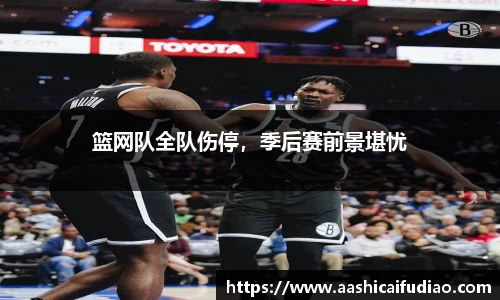 篮网队全队伤停，季后赛前景堪忧